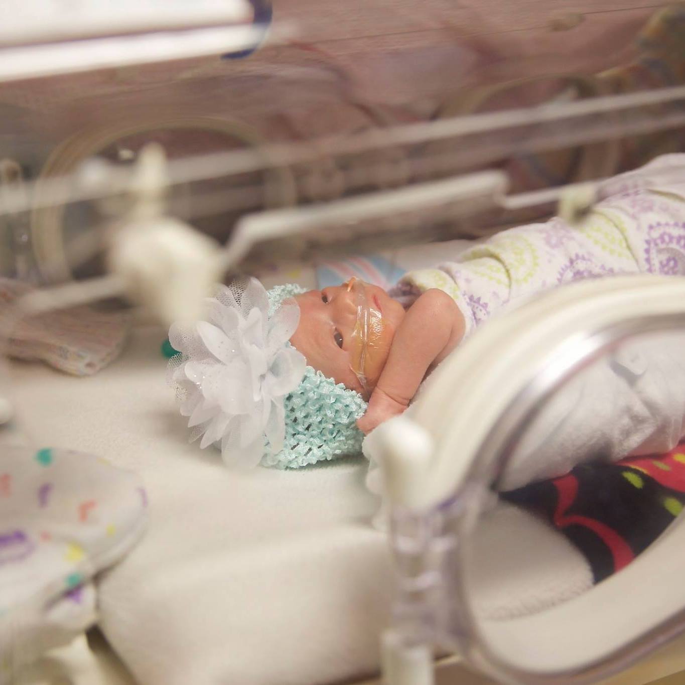 Read more about the article Twin to Twin Butterfly Fund