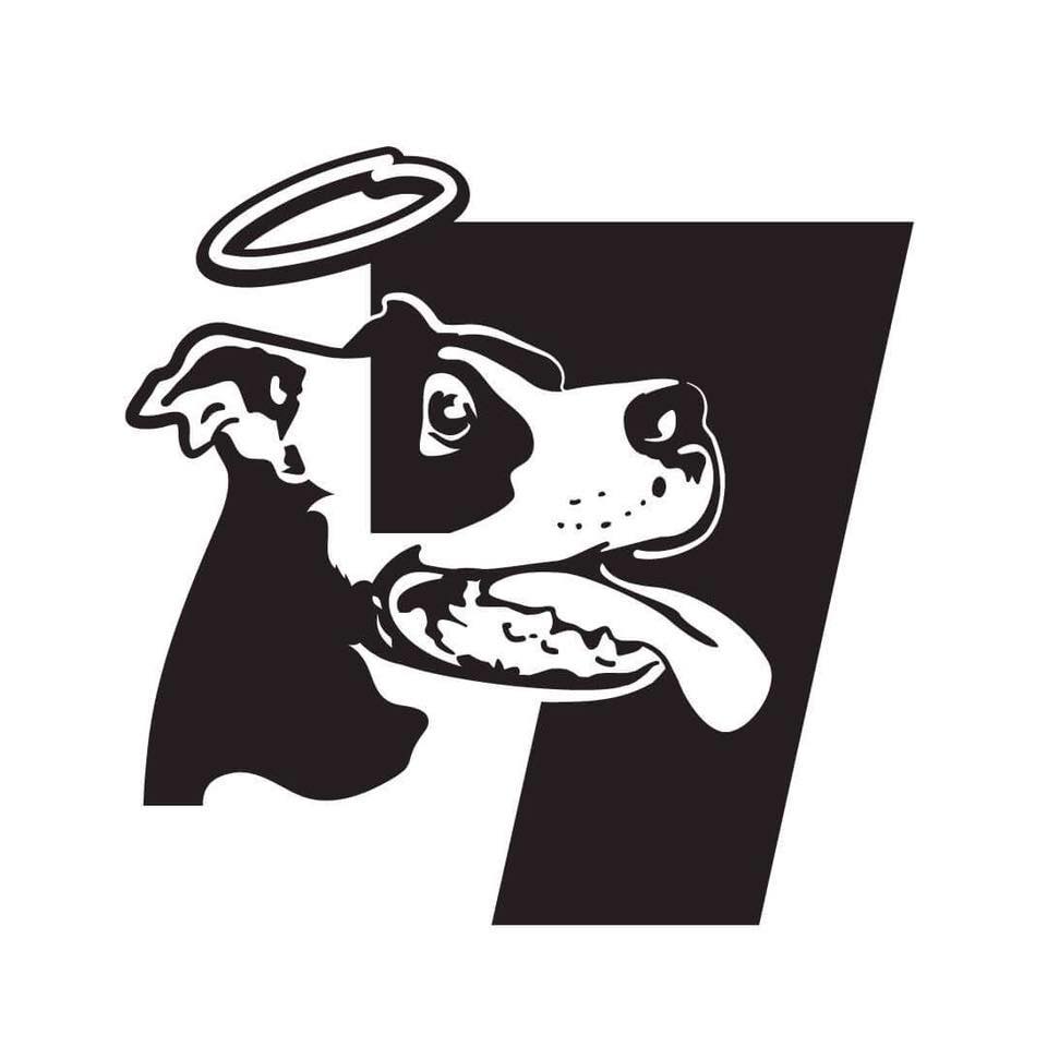 Read more about the article Seventh Heaven Rescue