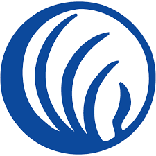 Read more about the article National Alliance on Mental Illness- Cayuga County