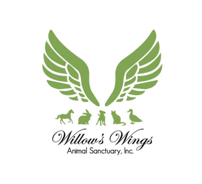 Willows Wings